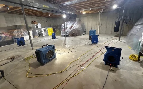 Basement Mold Cleanup in Bradenton, FL