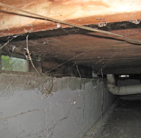 Crawl Space Mold Removal in Bradenton, FL