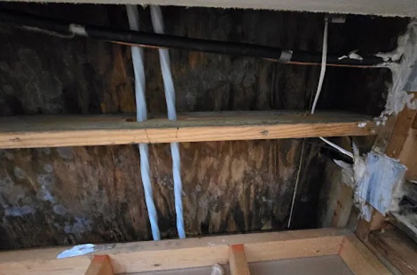 Attic Water Damage Restoration in Bradenton, FL
