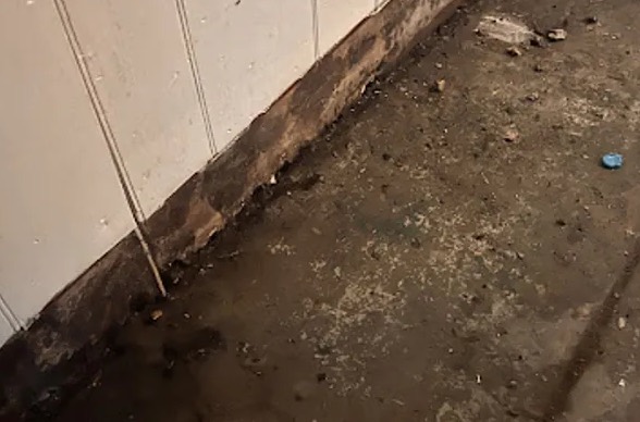 Wastewater Cleanup in Bradenton, FL