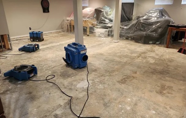 Deodorization Services in Bradenton, FL